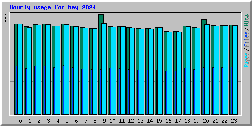 Hourly usage for May 2024