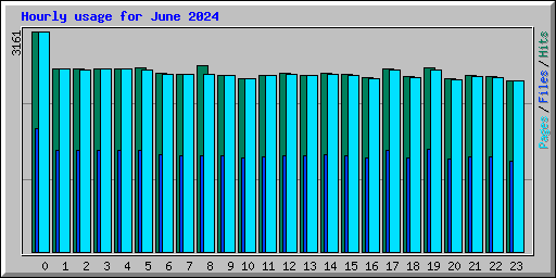 Hourly usage for June 2024