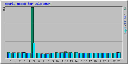 Hourly usage for July 2024